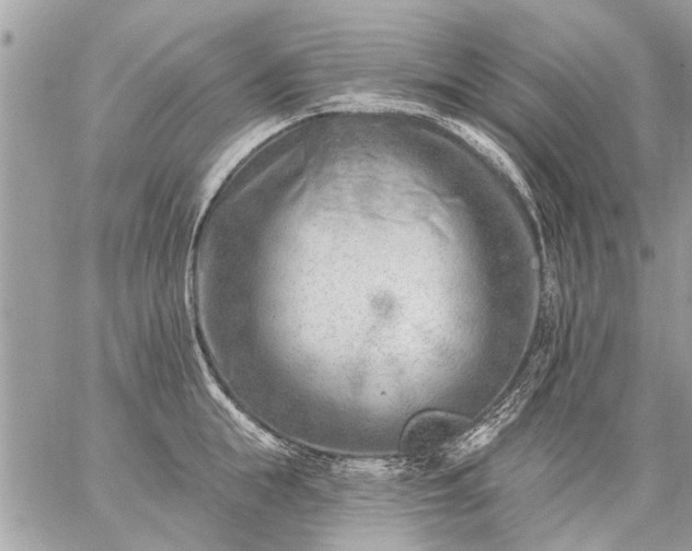 X0000059060855200510171937