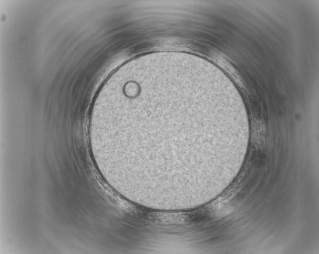 X0000059060856200510171938