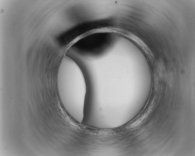 X0000059060857200510171938