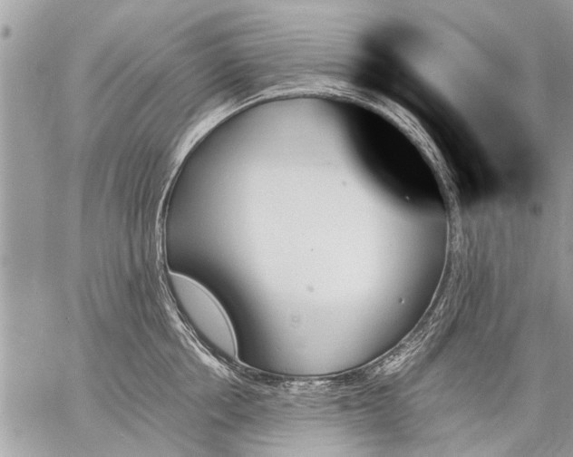 X0000059060858200510171938