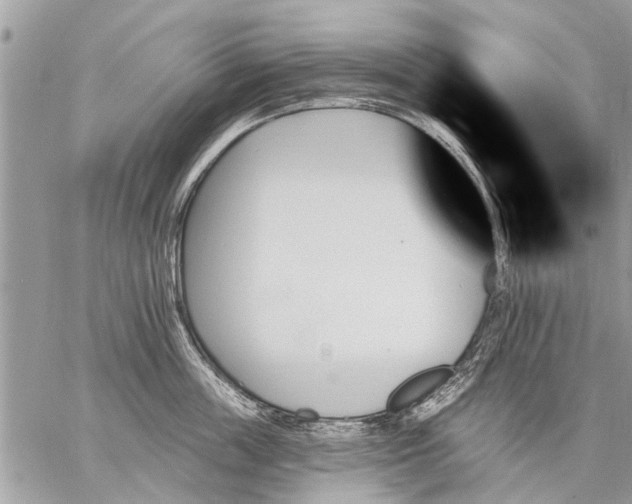 X0000059060859200510171938