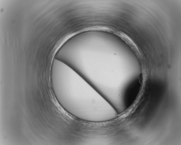 X0000059060860200510171938