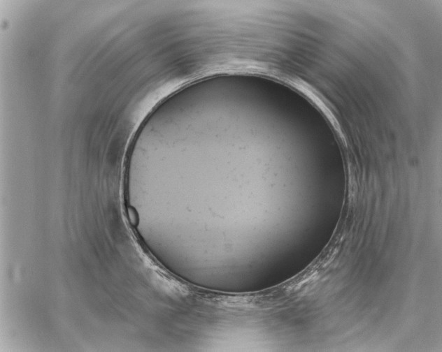 X0000059060861200510171938