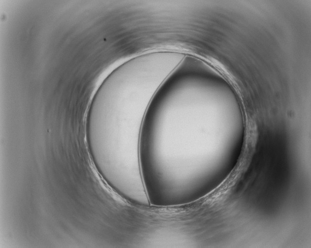 X0000059060862200510171938