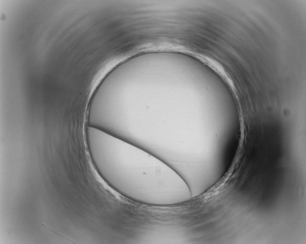 X0000059060863200510171938