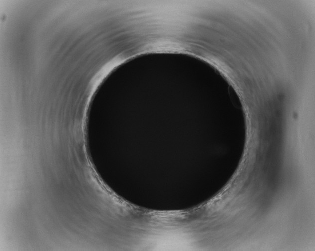 X0000059060864200510171938