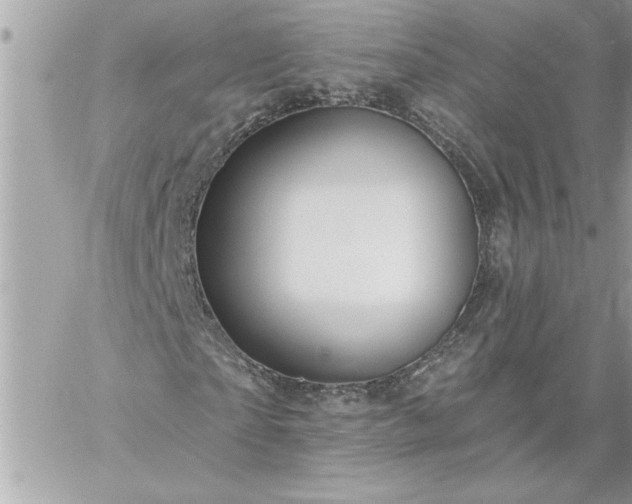 X0000059060865200510171937