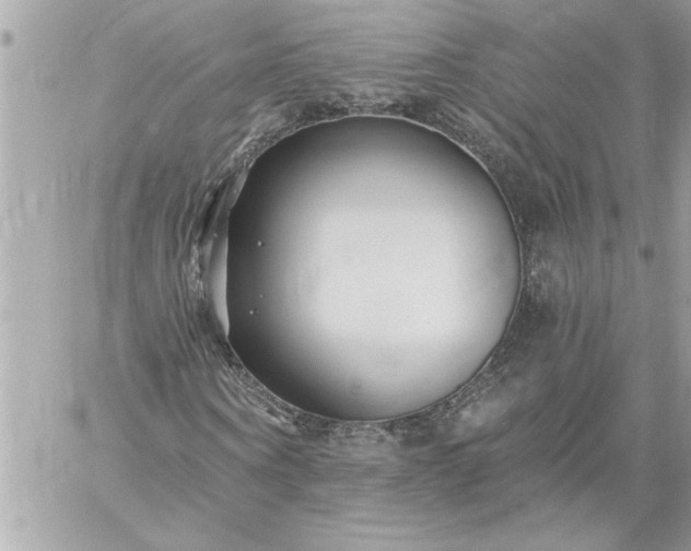 X0000059060866200510171937