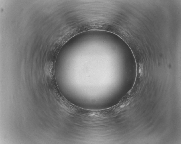 X0000059060867200510171937