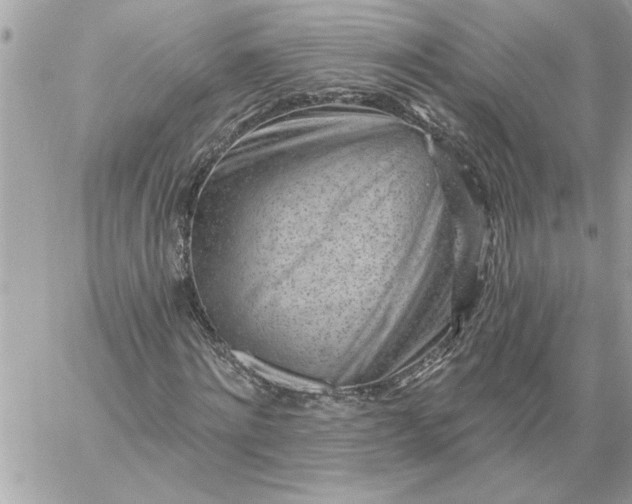 X0000059060868200510171937