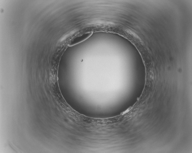 X0000059060869200510171937