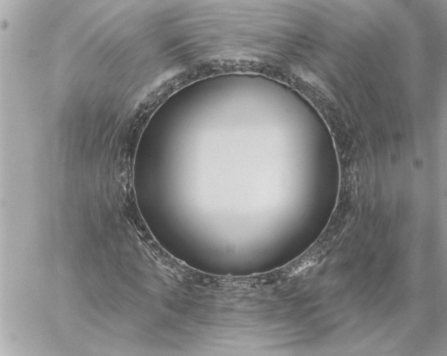 X0000059060870200510171937