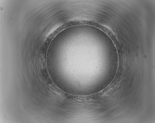 X0000059060871200510171937