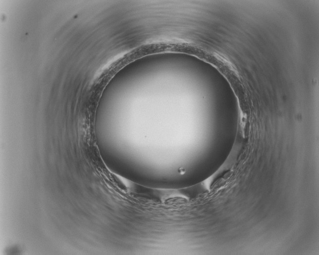 X0000059060872200510171937