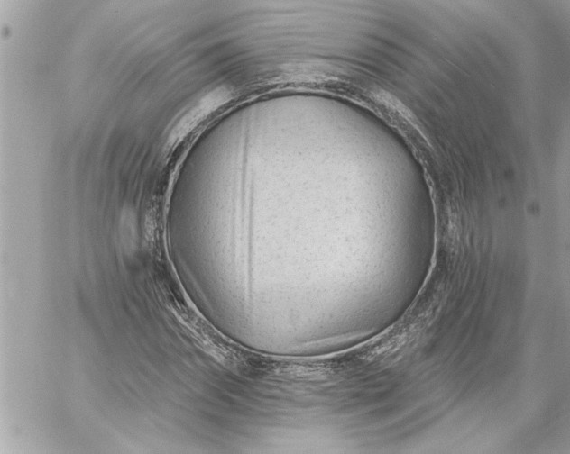 X0000059060874200510171937