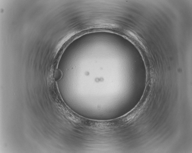 X0000059060875200510171937