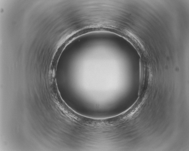 X0000059060876200510171937