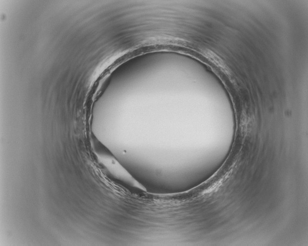 X0000059060877200510171937