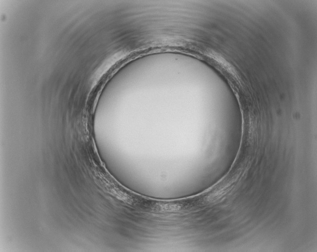 X0000059060878200510171937