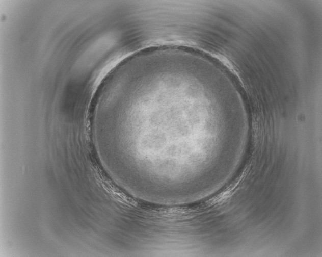 X0000059060879200510171937