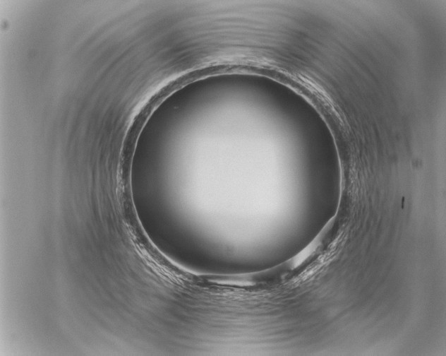 X0000059060880200510171937