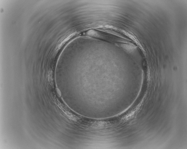 X0000059060881200510171937