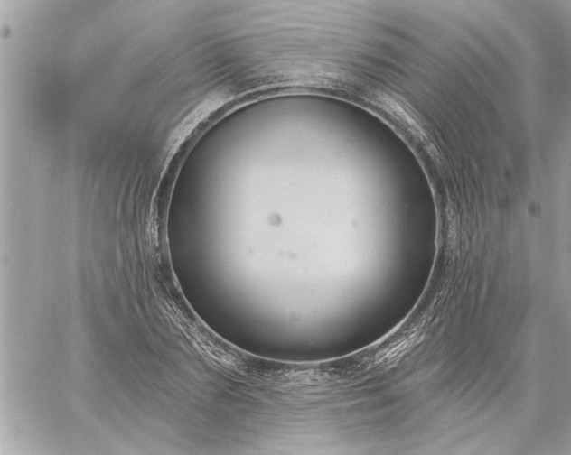 X0000059060883200510171937