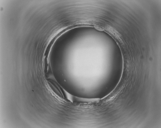 X0000059060884200510171937