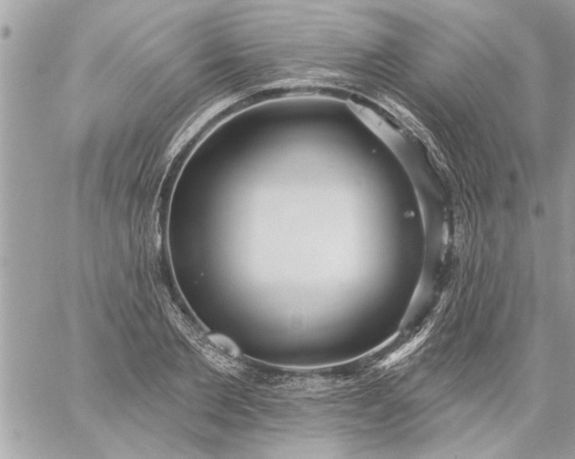 X0000059060885200510171937