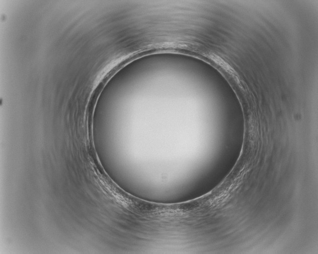 X0000059060886200510171937