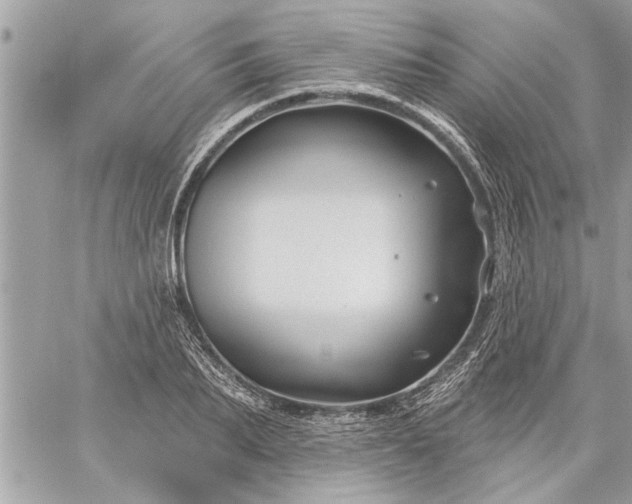 X0000059060887200510171936