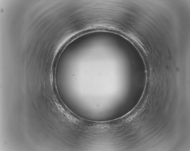 X0000059060888200510171936