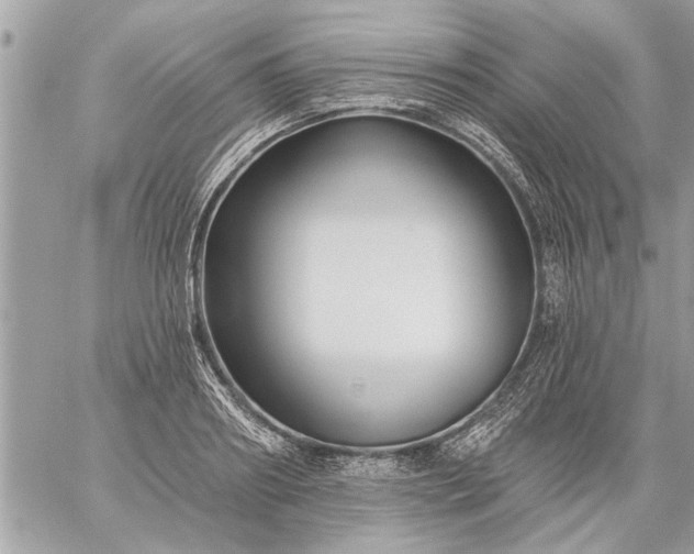 X0000059060890200510171936