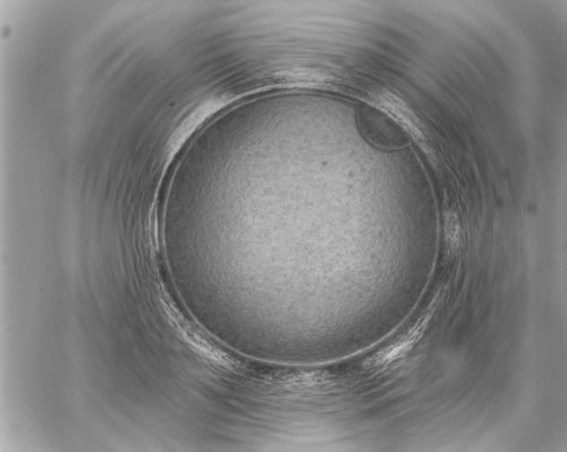 X0000059060891200510171936