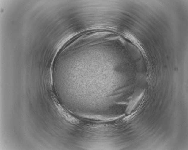 X0000059060892200510171936