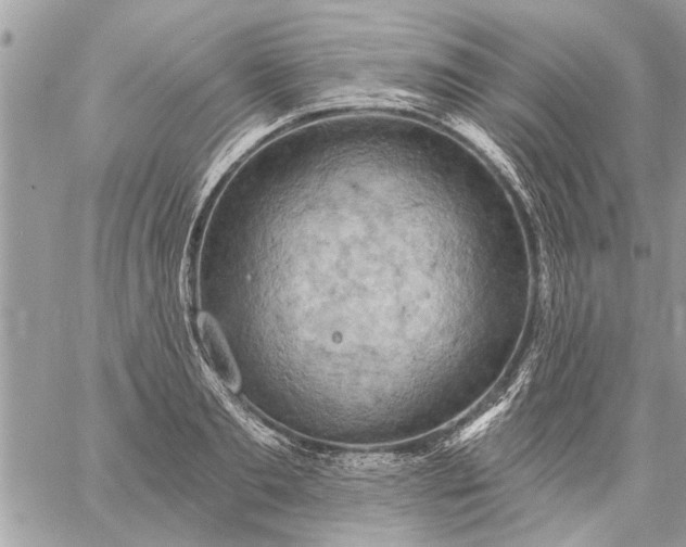 X0000059060893200510171936