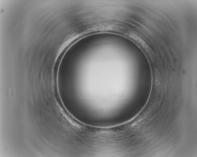 X0000059060894200510171936