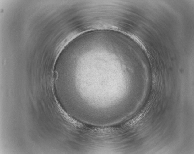 X0000059060895200510171936