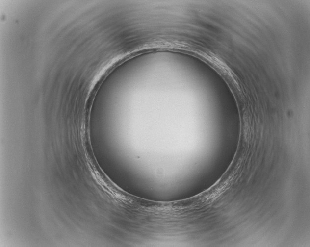 X0000059060896200510171936