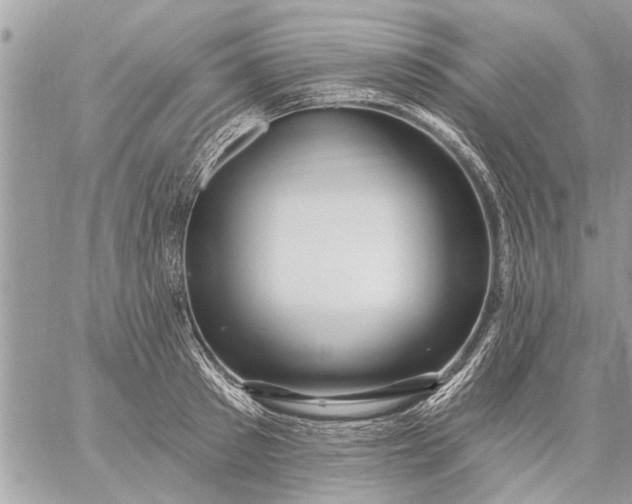 X0000059060897200510171936