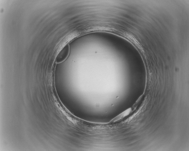 X0000059060898200510171936