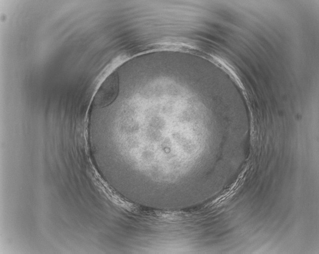 X0000059060899200510171936