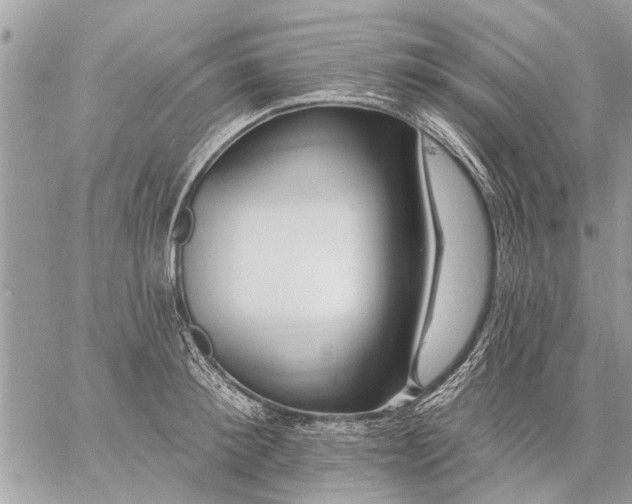 X0000059060900200510171936