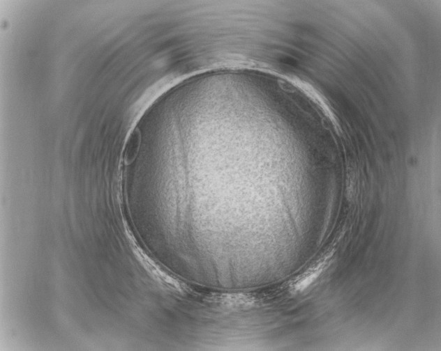 X0000059060903200510171936