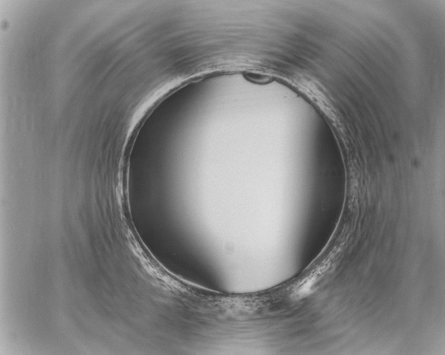 X0000059060904200510171936