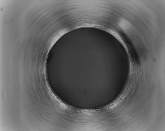 X0000059060906200510171936