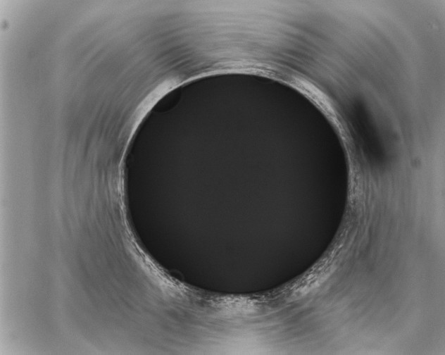 X0000059060907200510171936