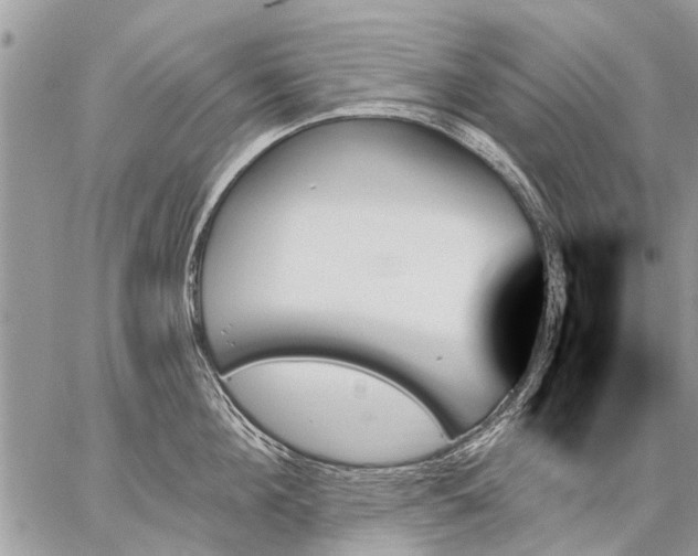 X0000059060908200510171936