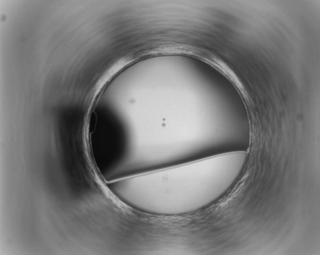 X0000059060909200510171936