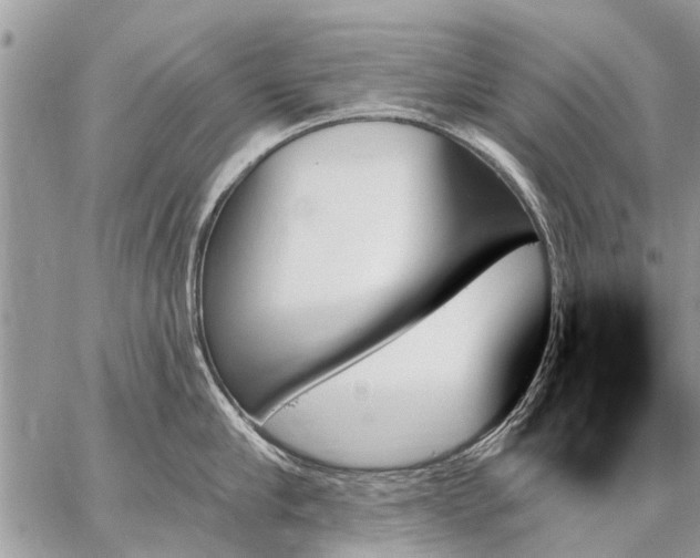 X0000059060910200510171936